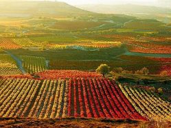 La_Rioja